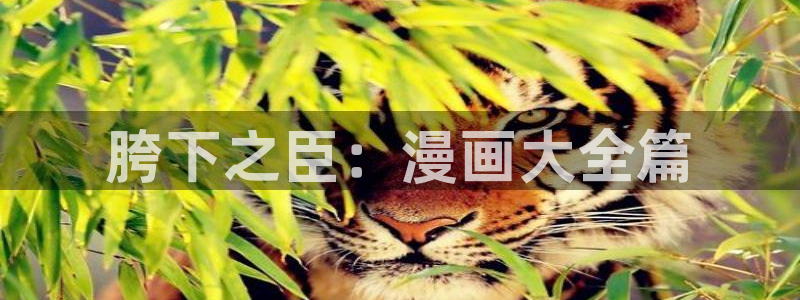 飞飞漫画官方入口：胯下之臣：漫画大全篇