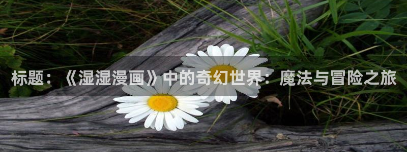 飞飞漫画网下拉式免费观看：标题：《湿湿漫画》中的奇幻世界：魔法与冒险之旅