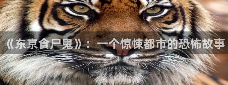 虎视眈眈漫画完整版飞飞漫画：《东京食尸鬼》：一个惊悚都市的恐怖故事