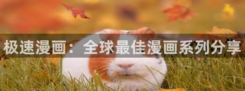 飞飞漫画下载：极速漫画：全球最佳漫画系列分享